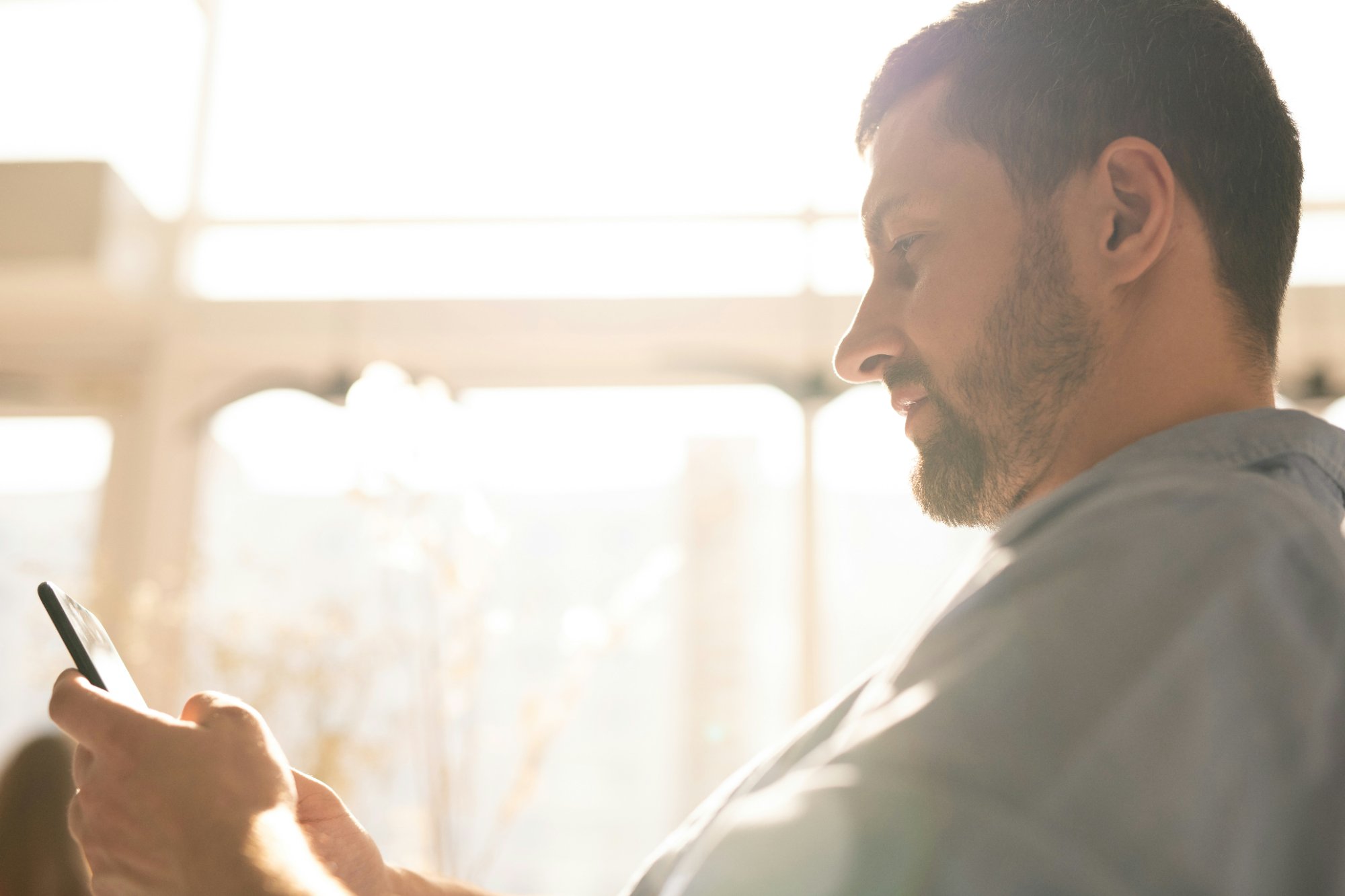 A person looking at their phone with calm confidence, bathed in warm natural light